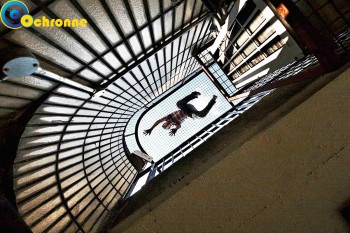 Siatki Trzebnica - Siatki na schody wykonane są z polipropylenu, który posiada dużo pozytywnych cech. dla terenów Trzebnicy